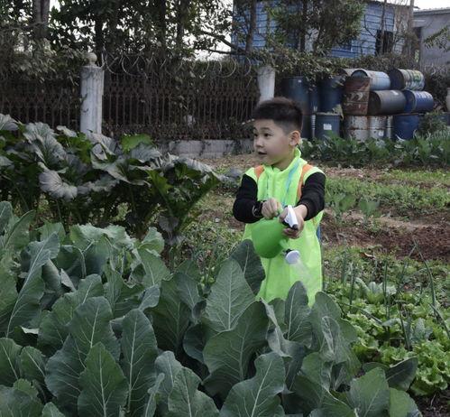 吃瓜生活小达人,吃瓜达人小达的趣味生活点滴