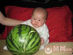 超级搞笑吃瓜图片,超级搞笑吃瓜瞬间大盘点