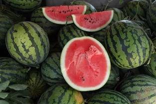 吃瓜200块,揭秘瓜市背后的秘密与惊喜