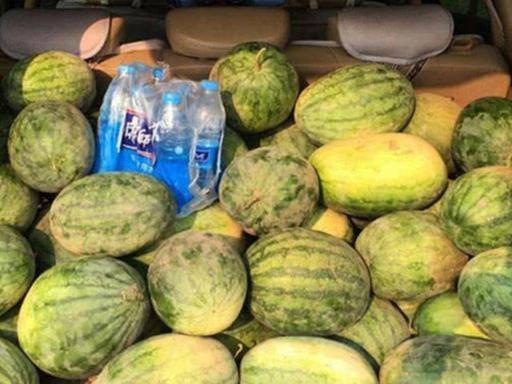 吃瓜200块,揭秘瓜市背后的秘密与惊喜