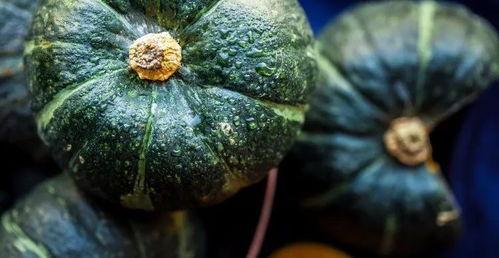 吃瓜会胖不,吃瓜真的会导致发胖吗？