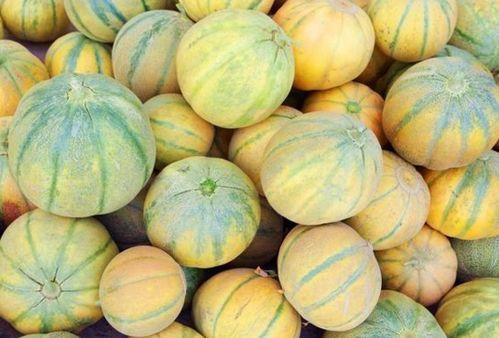 吃瓜吃出牙什么寓意,揭秘“吃瓜吃出牙”的深层寓意