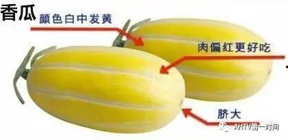 吃瓜吃出牙什么寓意,揭秘“吃瓜吃出牙”的深层寓意