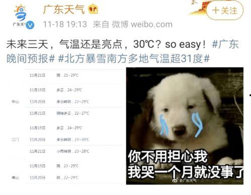 你在南方吃瓜,瓜果飘香，闲话家常