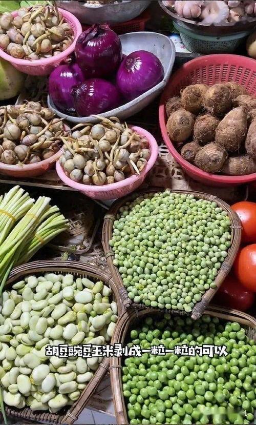 你在南方吃瓜,瓜果飘香，闲话家常