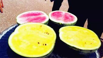 吃瓜视频今日大瓜,吃瓜视频爆出惊人内幕