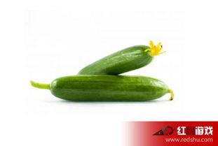 宝宝几月可以吃瓜,瓜果初尝，营养新篇章