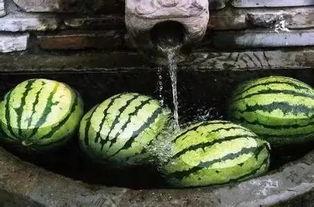 大树瓜可以吃吗,能否成为餐桌上的美味佳肴？