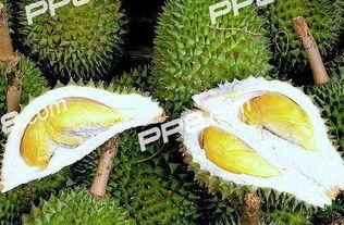 榴瓜可以怎么吃,创意榴瓜美食探索