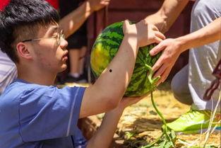 套马杆吃瓜,一场别开生面的夏日盛宴