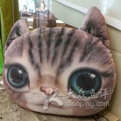 51今日吃瓜必吃胖猫,胖猫美食大揭秘，让你吃出健康与快乐！