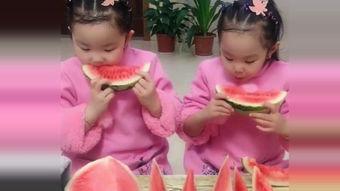 吃瓜双胞胎,揭秘娱乐圈的甜蜜“瓜”事