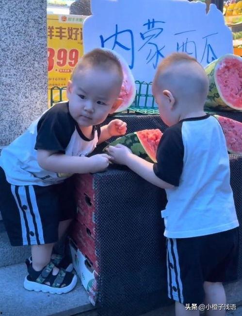 吃瓜双胞胎,揭秘娱乐圈的甜蜜“瓜”事