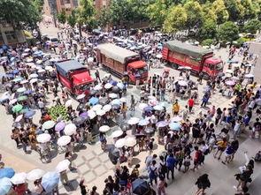 798集体吃瓜,揭秘艺术圈背后的故事