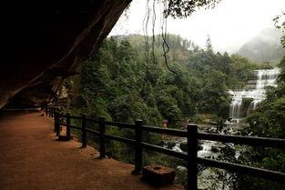 老林吃瓜君,揭秘娱乐圈那些不为人知的幕后故事