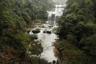 老林吃瓜君,揭秘娱乐圈那些不为人知的幕后故事