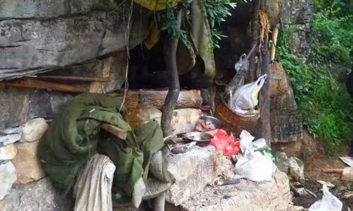 老林吃瓜君,揭秘娱乐圈那些不为人知的幕后故事