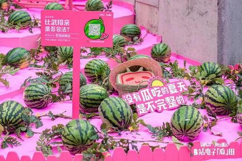 b站吃瓜影视,带你领略网络娱乐新风向