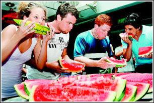 外国人吃大瓜,揭秘网络热点的国际反响