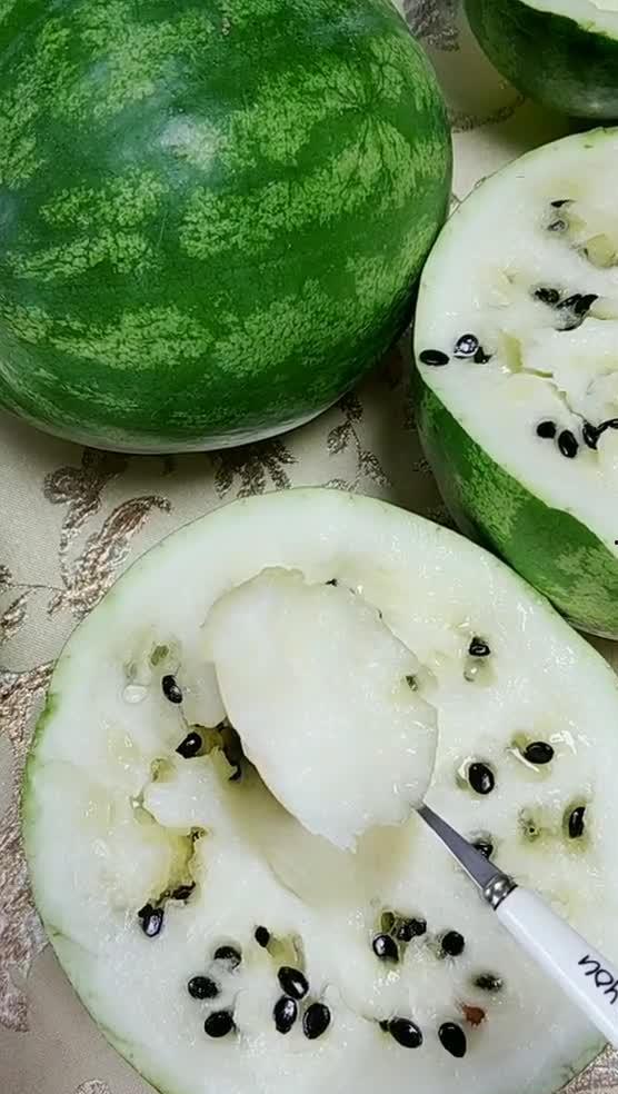 东北某技校吃瓜,揭秘校园里的“瓜田”风云”