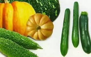 荣荣吃瓜,揭秘娱乐圈那些不为人知的幕后故事