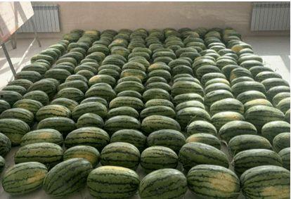 天津校园吃瓜,揭秘校园里的那些事儿