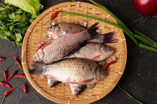 吃瓜不如吃鱼儿,探寻美食新境界