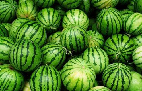夏吃四瓜是哪四瓜,清凉消暑，养生必备的四瓜推荐