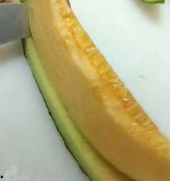 吃蜜瓜的小孩,吃蜜瓜的小孩的欢乐时光