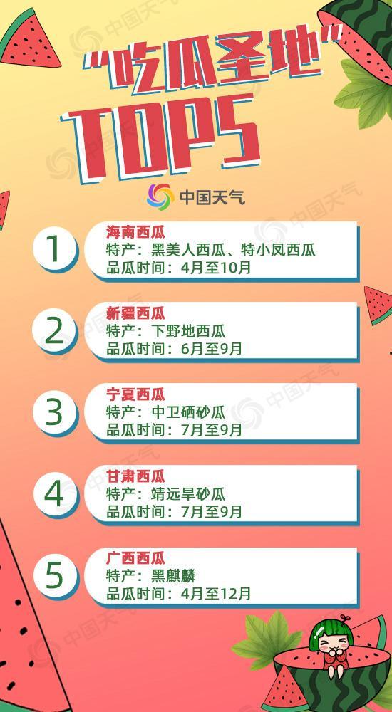 吃瓜档案袋,一场关于娱乐圈的狂欢盛宴