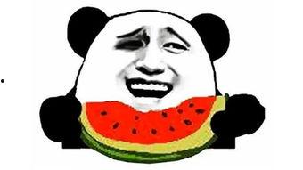 吃瓜形象搞笑句子,搞笑句子盘点  第3张