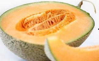 吃哈密瓜会舌头麻,揭秘舌头麻的神秘现象 第2张 吃哈密瓜会舌头麻,揭秘舌头麻的神秘现象 第2张