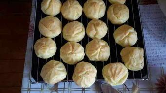 泡芙奶奶吃瓜,揭秘娱乐圈幕后故事  第2张