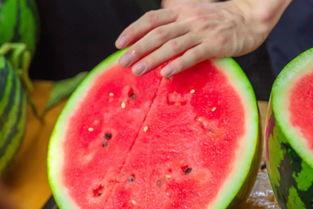 云南高校吃瓜视频,揭秘校园生活趣味瞬间 第2张 云南高校吃瓜视频,揭秘校园生活趣味瞬间 第2张