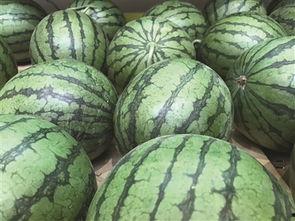 吃外地的瓜  第2张