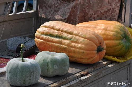 吃外地的瓜  第3张