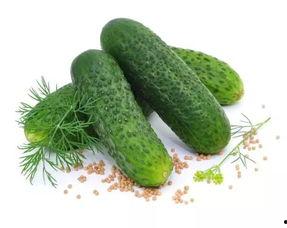 若楠吃瓜日常  第3张