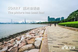 吃瓜女孩求婚视频  第1张