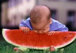 只吃瓜不吐皮,揭秘“只吃瓜不吐皮”的独特食趣  第2张