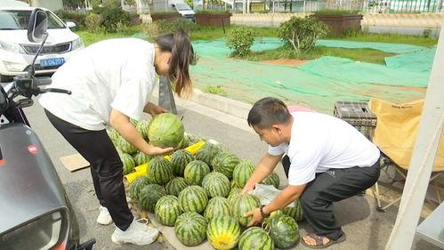 5 块吃瓜,揭秘娱乐圈的甜蜜与苦涩  第2张