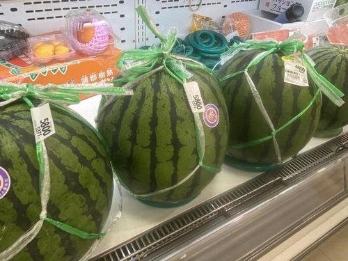 5 块吃瓜,揭秘娱乐圈的甜蜜与苦涩  第3张