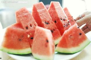 护理专业吃瓜,从吃瓜到专业成长的蜕变之路  第2张