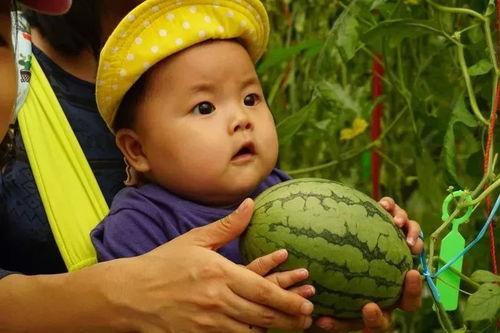 吃瓜趣事q群,揭秘吃瓜趣事Q群里的欢乐时光  第3张