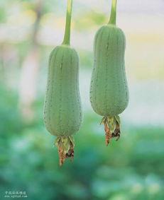 吃知识分子的瓜,揭秘知识分子圈的那些事  第2张