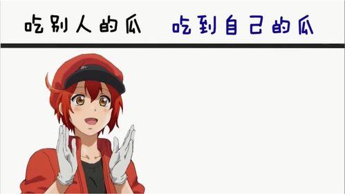 总是吃别人的瓜,揭秘总是吃别人瓜的奥秘  第3张