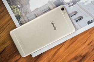 oppo和vivo吃瓜,一场关于市场份额的“吃瓜”大戏