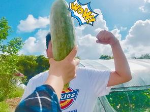 吃瓜网红博雅  第1张