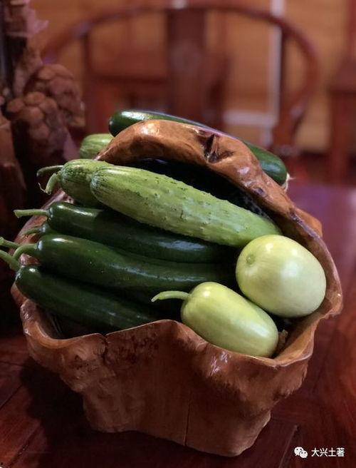 吃瓜网红博雅  第2张