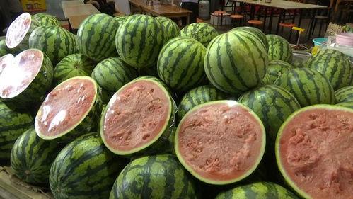 15元吃瓜视频,揭秘短视频背后的惊人真相  第2张