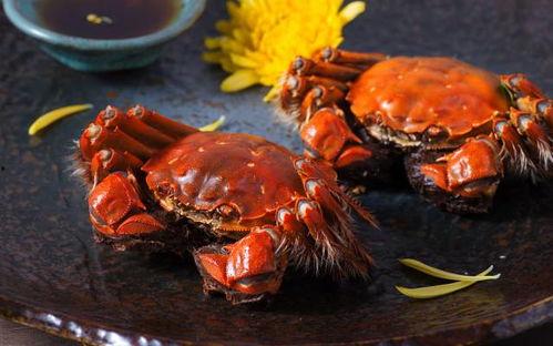 成为吃瓜群众大闸蟹之王,大闸蟹之王争霸战  第2张